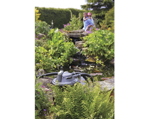 Vijverfilter in de tuinvijver met beplanting en kleine waterval