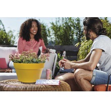 Buitenscène met een pot met vetplanten op een tafel, terwijl twee mensen een gesprek voeren.