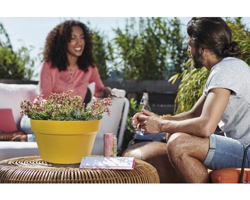 Buitenscène met een pot met vetplanten op een tafel, terwijl twee mensen een gesprek voeren.