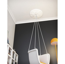 Interieurfoto van een kamer met plafondrozet, ophangsysteem en hanghol.