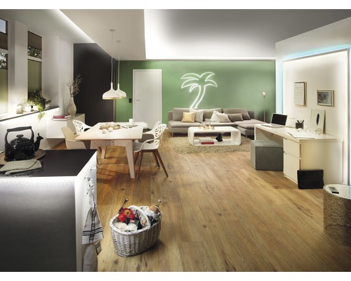 Woonkamer met eettafel, bank, bureau en houten vloer