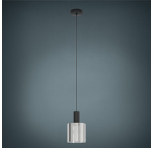 Hanglamp met transparante lampenkap