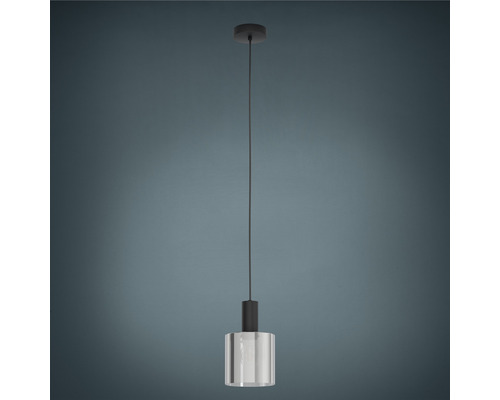 Hanglamp met transparante lampenkap