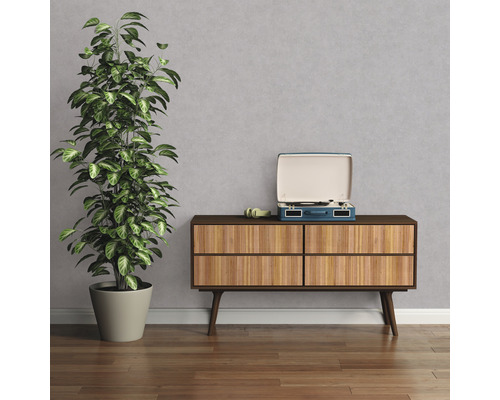 Decoratieve kamer met groene plant, platenspeler en dressoir