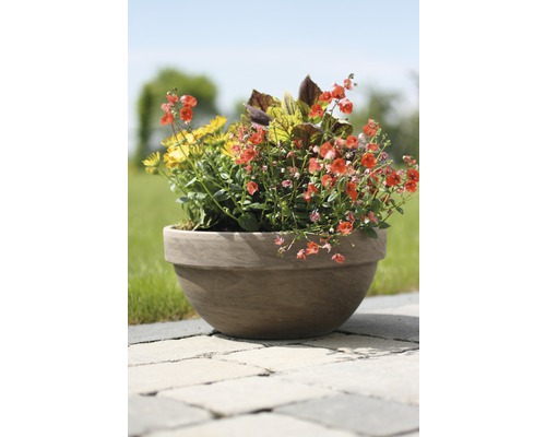 Bloemen in een pot in de tuin