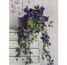 Decoratieve clematis kunstplant met violette bloemen in pot op commode