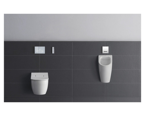 Badkamer met toilet, urinoir en bedieningspanelen voor een grijze wand