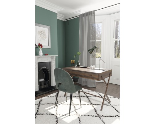 Inrichtingsvoorbeeld: Werkkamer met bureau, stoel, lamp, tapijt en decoratie in een ruimte met open haard.