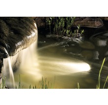 Tuinvijver met waterval en oeverbeplanting