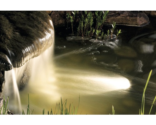 Tuinvijver met waterval en oeverbeplanting