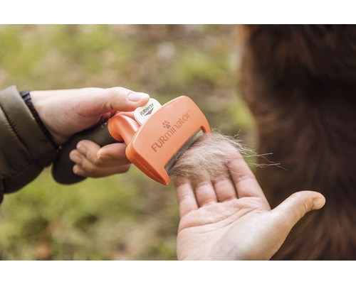 Honden- en kattenhaarborstel met hondenhaar in de hand