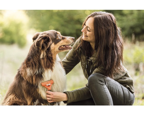 Vrouw borstelt hond met vachtverzorgingsborstel