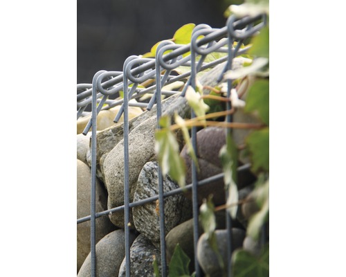 Close-up van een schanskorf gevuld met stenen en planten