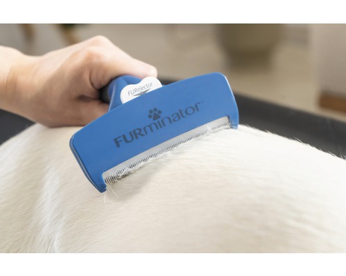 Een hand gebruikt een FURminator-vachtborstel op een hond.