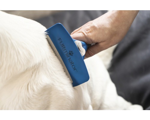 Hond wordt geborsteld met een FURminator verzorgingskam