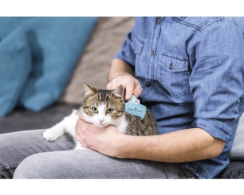 Een persoon borstelt een kat met een Furminator borstel