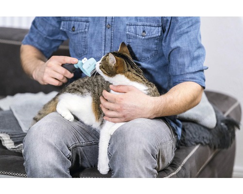 Man borstelt kat op schoot met dierenhaarborstel