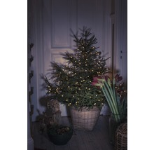 Versierde kerstboom in mand naast amaryllis en Julbock
