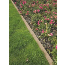 Tuinlandschap met gazon, bloemen en gazonrand