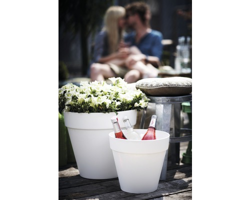 Scene met bloempot en drankkoeler met drankflessen