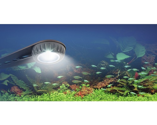 Aquariumlamp boven een aquarium met vissen en planten