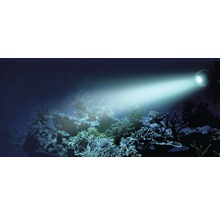 FLUVAL Aquarium verlichting 6,5 W RGB LED spotlight