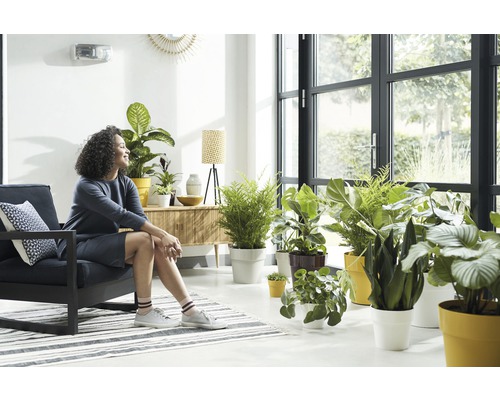Lichte inrichting met vrouw op fauteuil, kamerplanten en daglicht