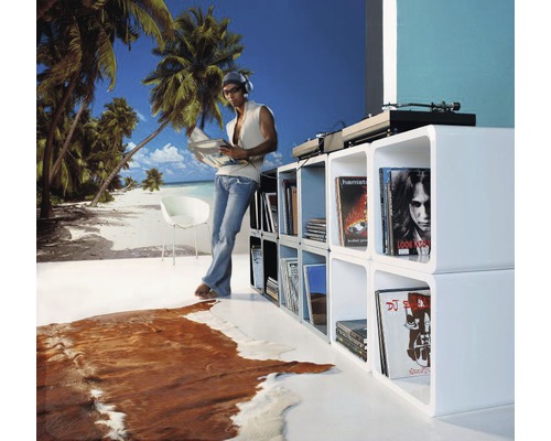 Woonkamer met witte rekken, platenspeler en een persoon met een plaat voor een strandbehang