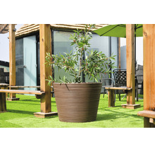 Grote plantenbak met plant op een terras met houten meubels