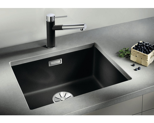 Inbouw spoelbak met kraan en een mandje bosbessen