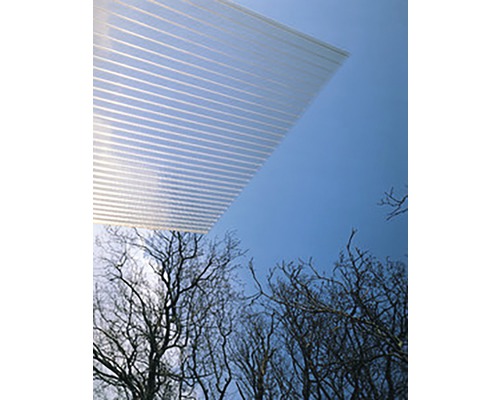 Lichtplaat boven boomtoppen tegen blauwe lucht