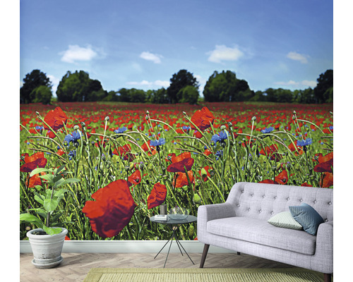 Behang met klaprozenveld in een kamer met een bank