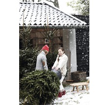 Twee kinderen vervoeren een kerstboom in de sneeuw voor een huis.