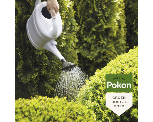 Tuin bewateren met een gieter voor groene planten en Pokon Logo