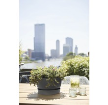 Bloempot met bloemen op een tafel buiten met uitzicht op de stad