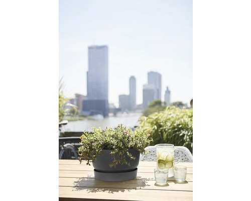 Bloempot met bloemen op een tafel buiten met uitzicht op de stad