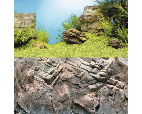 Aquarium achterwand met steenpatroon en groene planten