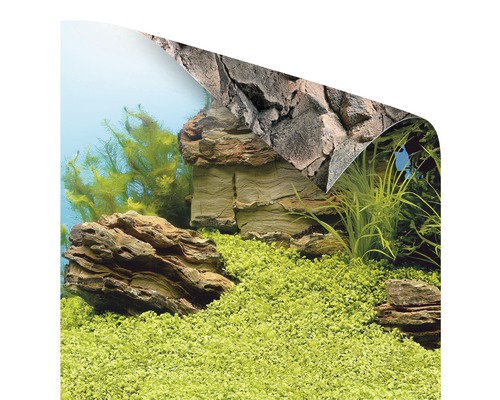 Aquarium achterwand met rotsen en plantenmotief