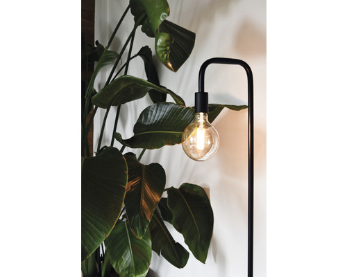 Vloerlamp naast een kamerplant