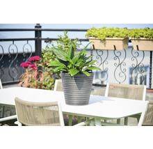 Arrangement met tafel, stoelen en potplant buiten