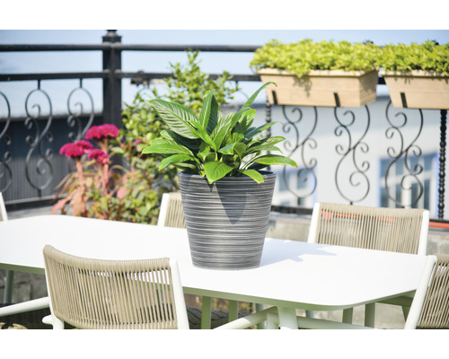 Arrangement met tafel, stoelen en potplant buiten