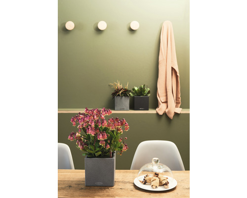 Tafeldecoratie met kamerplant in een plantenbak