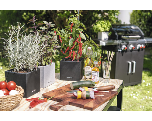 Scene met kruiden in plantenbakken, barbecue en barbecuegerechten op een tafel buiten.