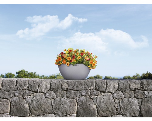 Bloemen in plantenbak op een stenen muur tegen een blauwe lucht