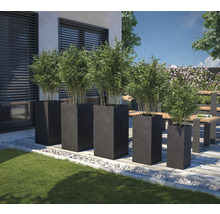 Buitenruimte met plantenbakken en bamboeplanten op terras