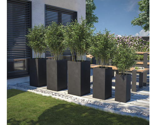 Buitenruimte met plantenbakken en bamboeplanten op terras