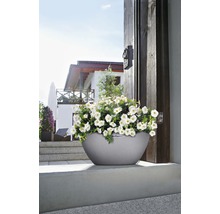 Grijze plantenbak met witte bloemen voor een huis