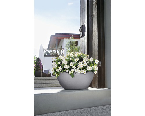 Grijze plantenbak met witte bloemen voor een huis