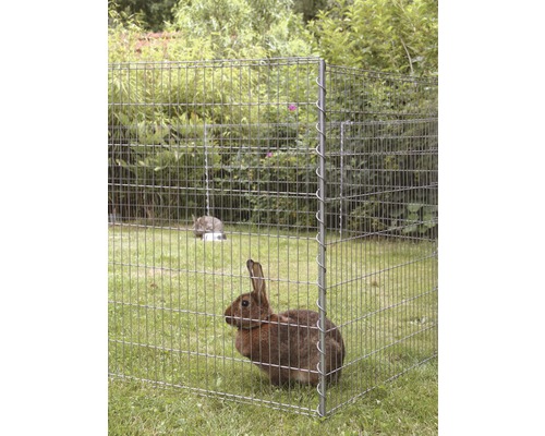 Konijn in ren in de tuin