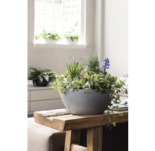 LECHUZA All-in-One Set Plantenschaal Stone Cubeto Kunststof grijs Ø 30 cm H 13 cm
